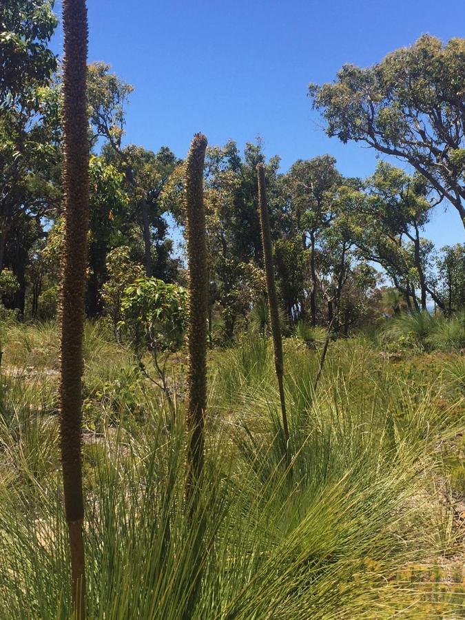 Eagle Bay House Bed & Breakfast Dunsborough Bagian luar foto