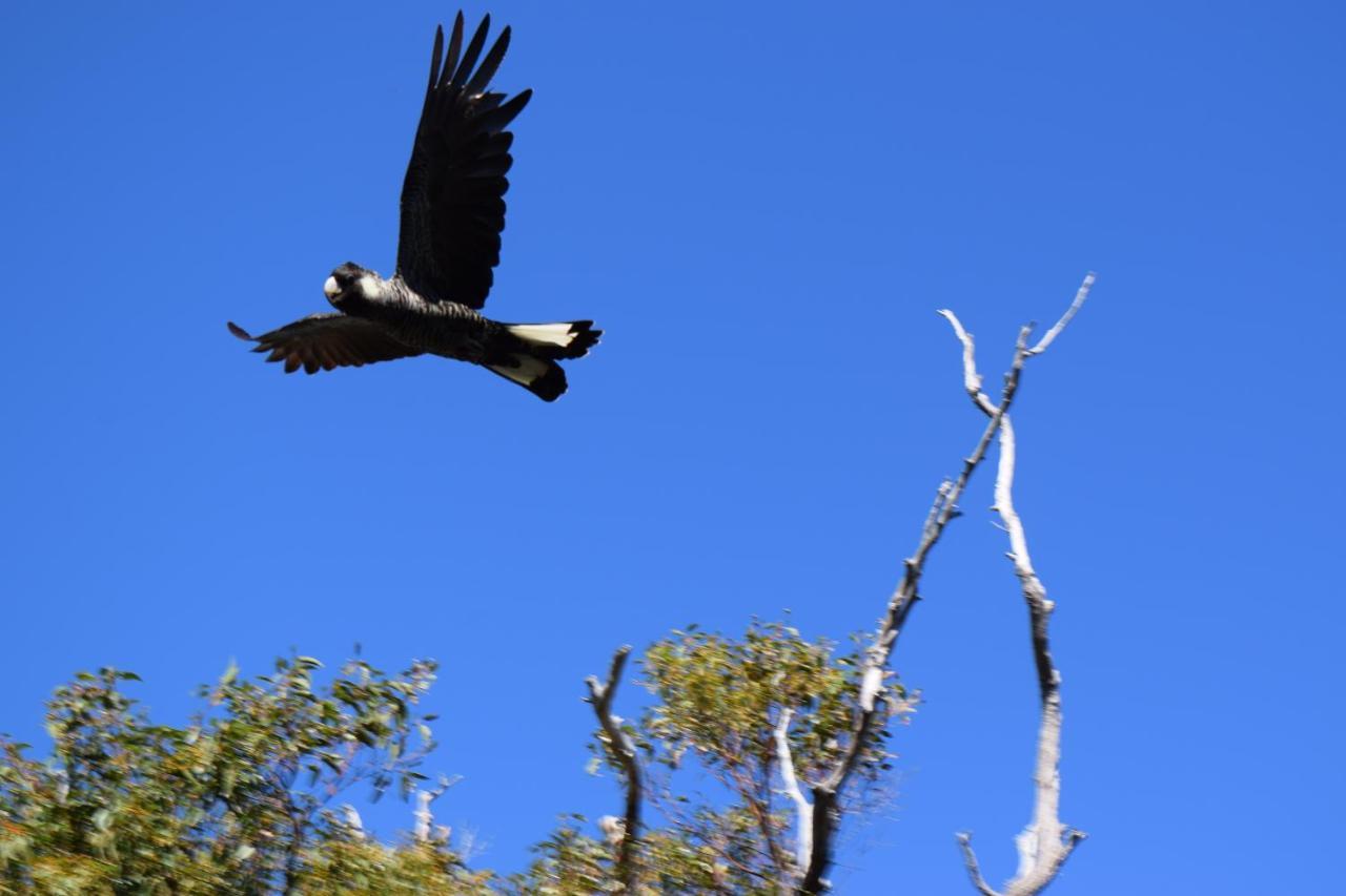 Eagle Bay House Bed & Breakfast Dunsborough Bagian luar foto