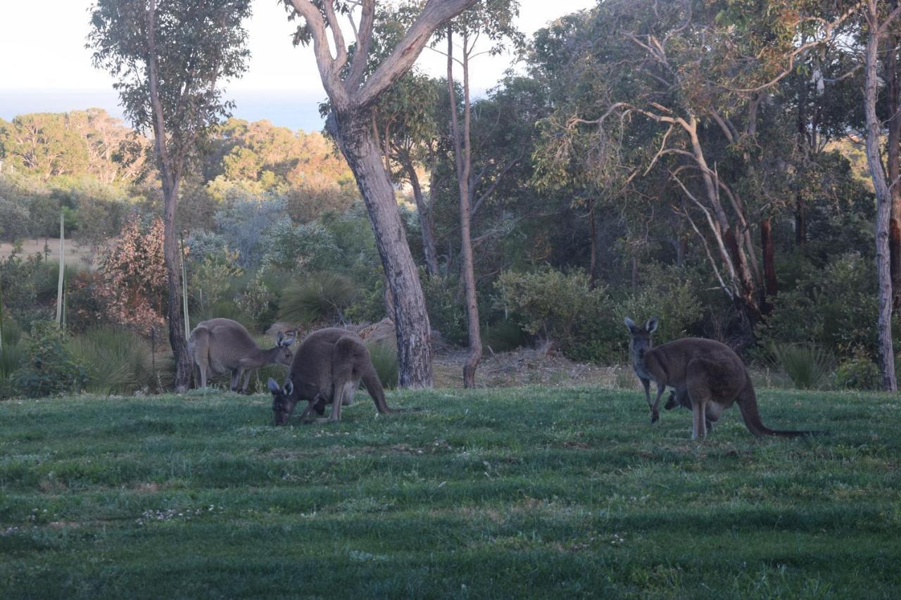 Eagle Bay House Bed & Breakfast Dunsborough Bagian luar foto